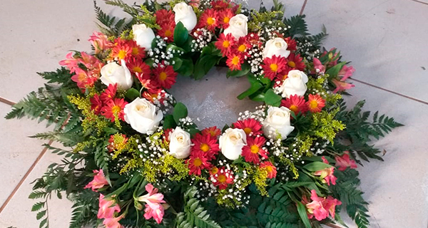 Imagem da galeria de fotos da Floricultura e viveiro Barreiras Garden