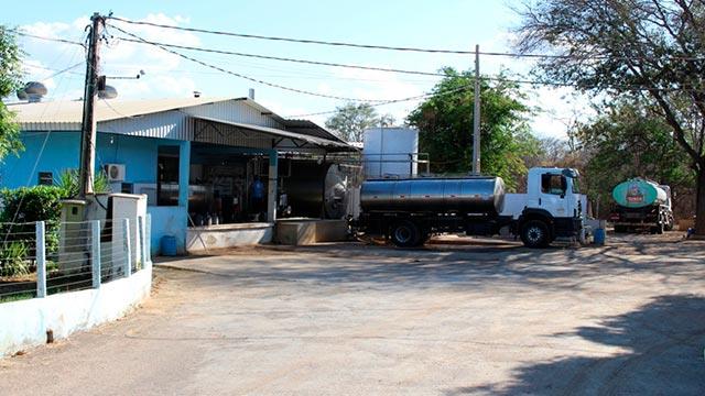 Imagem da galeria de fotos do Laticínio Faz Bem
