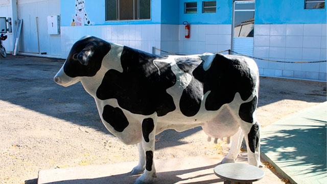 Laticínio Faz Bem: Laticínio em Santa Maria da Vitória - BA