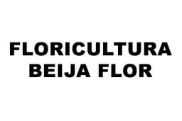 Floricultura Beija Flor Floricultura Em Brumado Ba