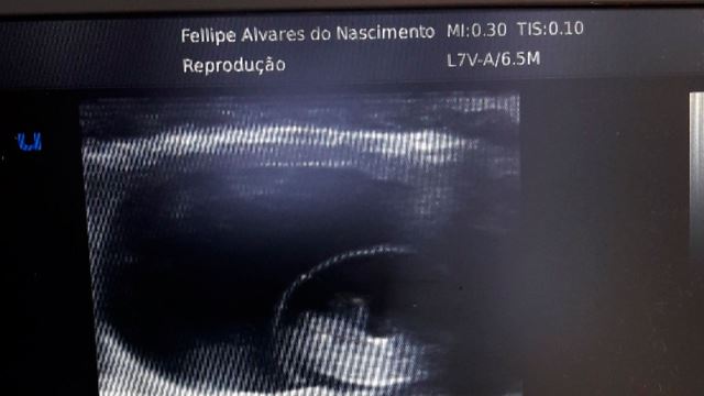 Imagem da galeria de fotos do Fellipe Álvares Médico Veterinário