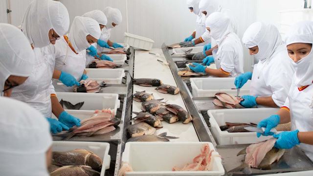 Imagem da galeria de fotos da Induspeixe